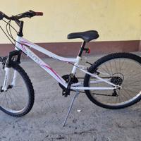 Mtbk ruote di 24" ammortizzata