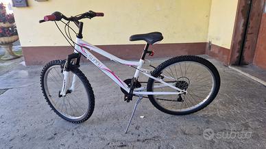 Mtbk ruote di 24" ammortizzata