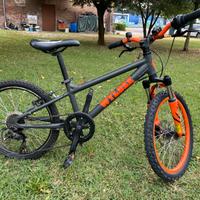 Mountain Bike 20’ Wildee