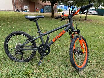 Mountain Bike 20’ Wildee