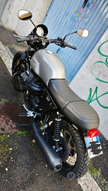 Moto Guzzi V7 III Rough