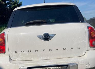 PORTELLONE POSTERIORE MINI Countryman S PORTIERA C