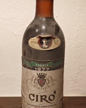 vino rosso ciró da collezione 1977