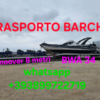 BARCA da pesca + mercury 115 + TRASPORTO