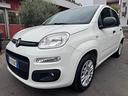 fiat-panda-1-2-easy-autocarro-n1-4-posti-