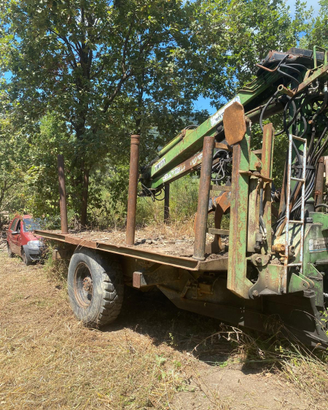 Pinza forestale termach