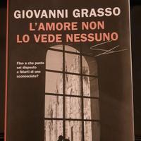 Libro: l'amore non lo vede nessuno