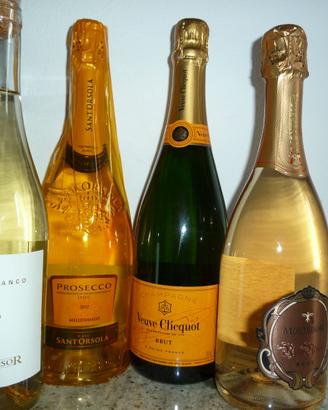 🍾  11 bottiglie di Prosecco Brut Vino Champagne🍾