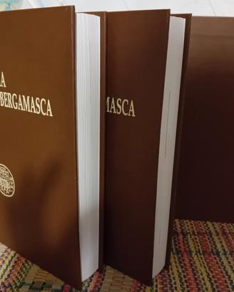 cofanetto di 2 volumi storia dell'industria Bg