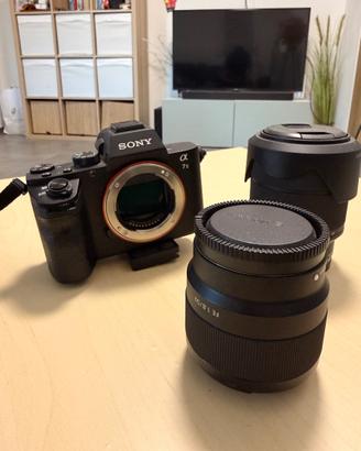 Sony A7II mirrorless + 28-70 FE + 50mm F1.8