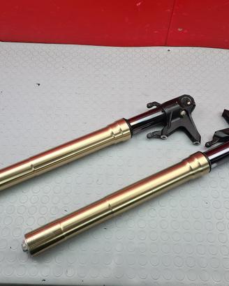 FORCELLA STELI MV AGUSTA F4 1000 2003 2006