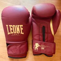 Guantoni boxe LEONE Nuovi