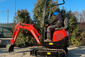 E213 Mini escavatore Neuson 10 q carro allargabile