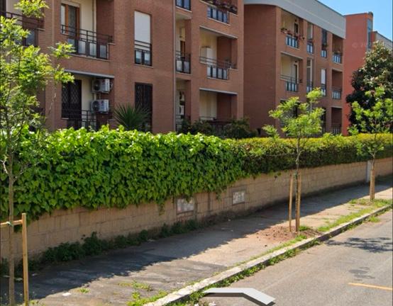 Appartamento Trigoria