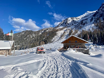 Disponibile dal 8-9 o 10 al 14 Febbraio a Predazzo
