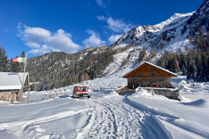 Disponibile dal 8-9 o 10 al 14 Febbraio a Predazzo