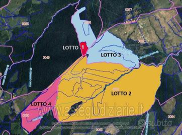 Terreno Agricolo Piancastagnaio [A4345769]