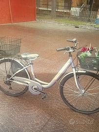 Bicicletta con cestini