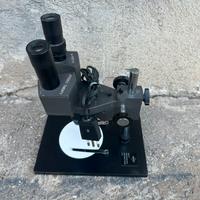 Microscopio