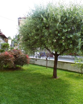 CASA INDIPENDENTE CON GIARDINO ZONA SAN MICHELE