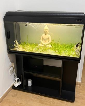 Acquario con mobiletto
