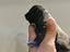 Immagine 6