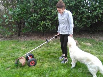 SUPPORTO DECESPUGLIATORE