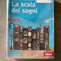 La scala dei sogni 1