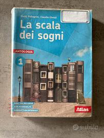 La scala dei sogni 1