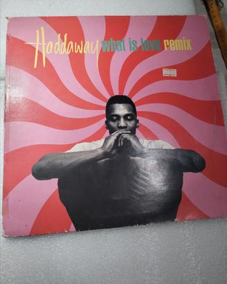 VINILE  HADDAWAY