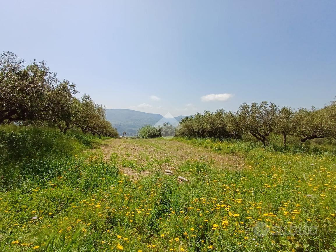 TER. AGRICOLO A CASTELLAMMARE DEL GOLFO - Vista 5