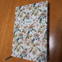 agenda finocam 2026