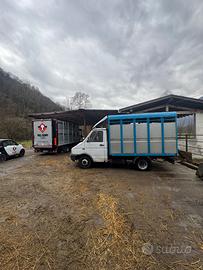 Daily trasporto animali