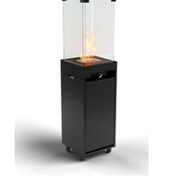 STUFA A GAS DA ESTERNO DENISE 11KW