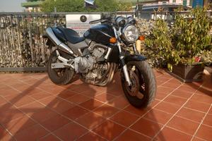 honda hornet 