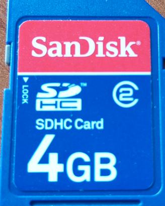 N. 2 Schede di memoria Sandisk 4 GB SDHC