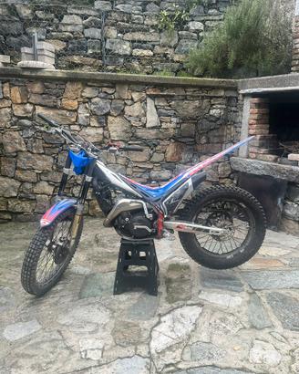 Trial Beta Evo 290 2t 2011