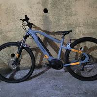 bicicletta elettrica 