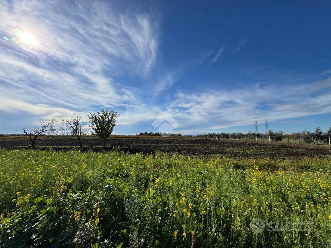 TER. AGRICOLO A ARDEA - Vista 2