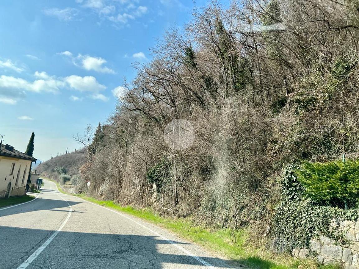 TER. AGRICOLO A CAPRINO VERONESE - Altro