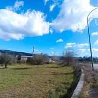 Terreno commerciale/industriale - Contrada Olivola