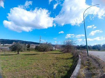 Terreno commerciale/industriale - Contrada Olivola