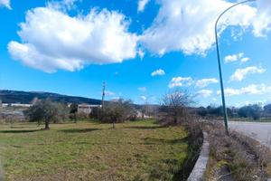 Terreno commerciale/industriale - Contrada Olivola