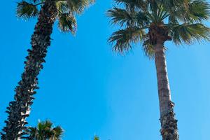 Montesilvano dal 05 al 13 luglio