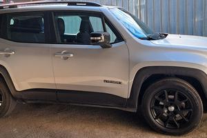 Jeep Renegade GPL
