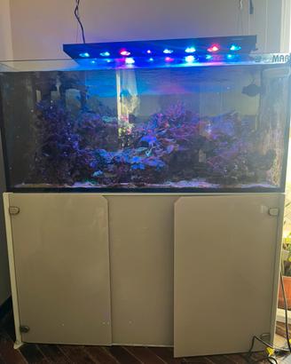 Acquario marino