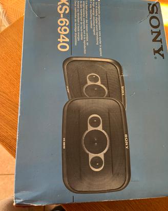 Casse e amplificatore