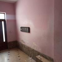 Imbianchino, muratore, indoratore