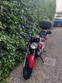 Yamaha motor da amazonia YBR250