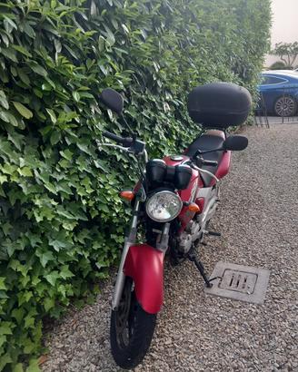 Yamaha motor da amazonia YBR250